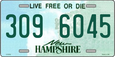 NH license plate 3096045