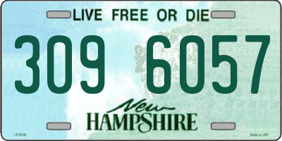 NH license plate 3096057