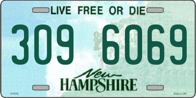 NH license plate 3096069