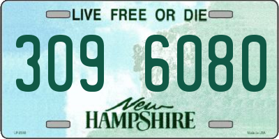 NH license plate 3096080