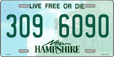 NH license plate 3096090