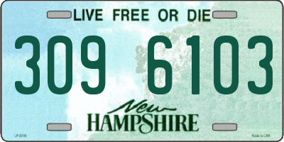 NH license plate 3096103