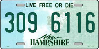NH license plate 3096116