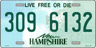 NH license plate 3096132