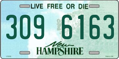 NH license plate 3096163