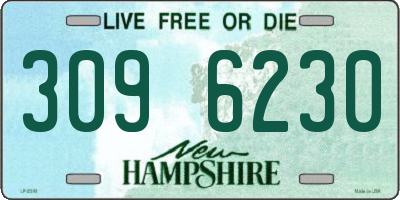 NH license plate 3096230