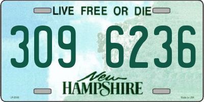 NH license plate 3096236
