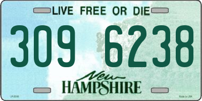 NH license plate 3096238