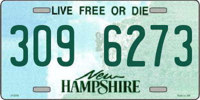 NH license plate 3096273