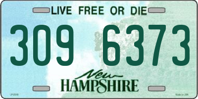 NH license plate 3096373