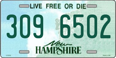 NH license plate 3096502