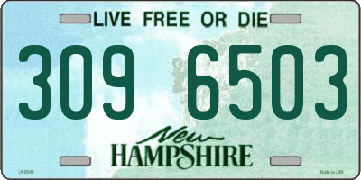 NH license plate 3096503