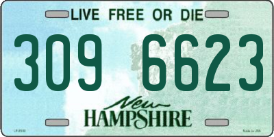 NH license plate 3096623