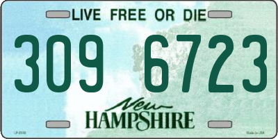 NH license plate 3096723