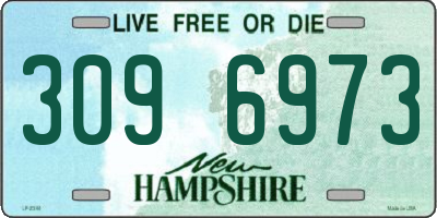 NH license plate 3096973