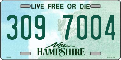 NH license plate 3097004