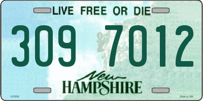 NH license plate 3097012