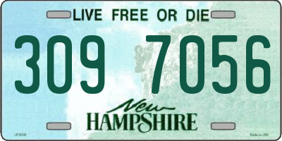 NH license plate 3097056