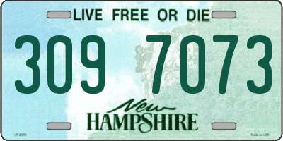 NH license plate 3097073