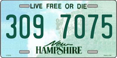 NH license plate 3097075