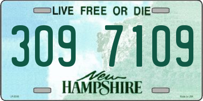 NH license plate 3097109