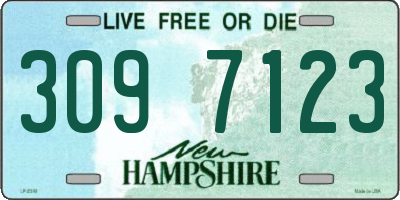 NH license plate 3097123