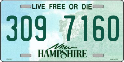 NH license plate 3097160