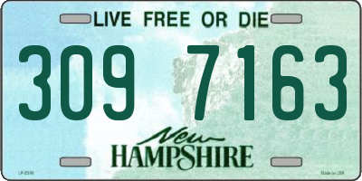 NH license plate 3097163