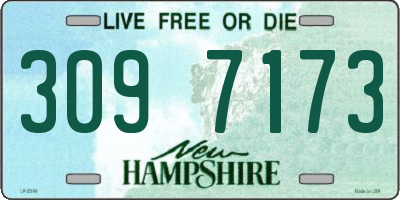NH license plate 3097173