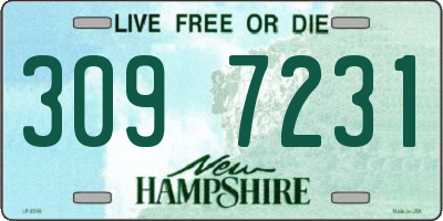 NH license plate 3097231