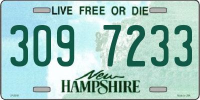 NH license plate 3097233