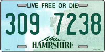 NH license plate 3097238