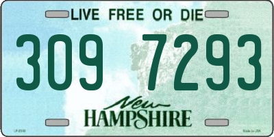 NH license plate 3097293