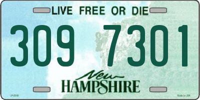 NH license plate 3097301