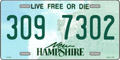 NH license plate 3097302