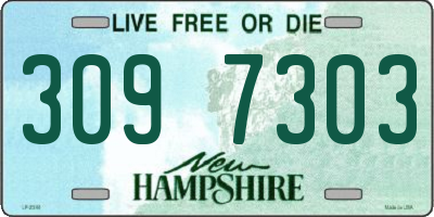 NH license plate 3097303
