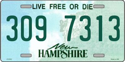 NH license plate 3097313