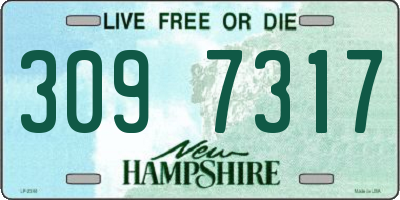 NH license plate 3097317