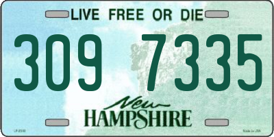 NH license plate 3097335