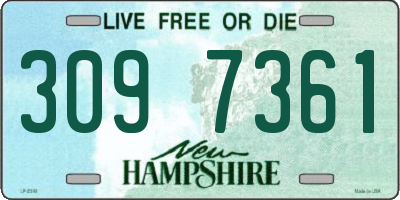 NH license plate 3097361