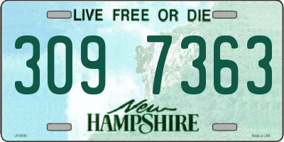 NH license plate 3097363