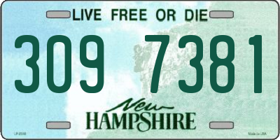 NH license plate 3097381