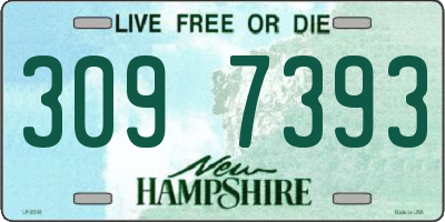 NH license plate 3097393