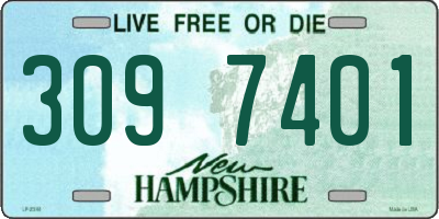 NH license plate 3097401