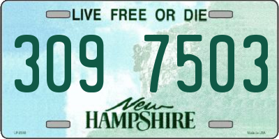 NH license plate 3097503