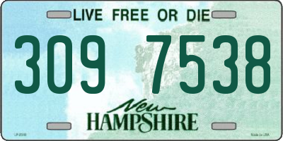 NH license plate 3097538