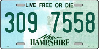 NH license plate 3097558