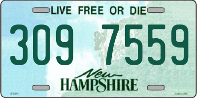 NH license plate 3097559