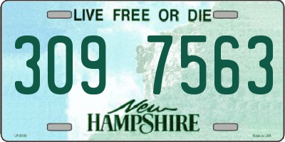 NH license plate 3097563