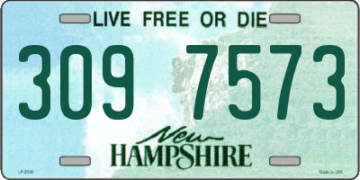 NH license plate 3097573